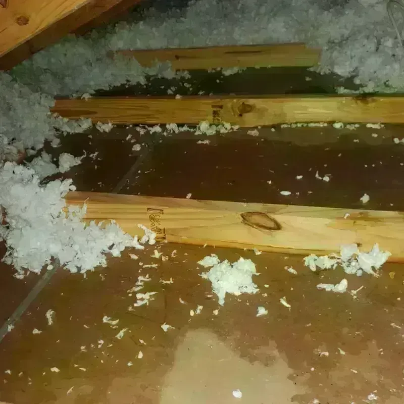 Attic Water Damage in Spangler, PA